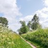 CHEMIN 1. Les photos ont été prise le long du Canal d'Orléans sur le chemin du halage entre la Venelle de la Hotte et la rue du moulin d'Aveau. Photo 1. PASCAL GOUHIER